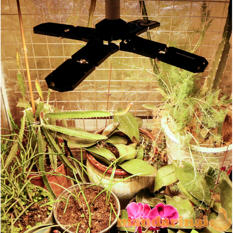 672 pilno spektro LED modulių lempa augalams auginti