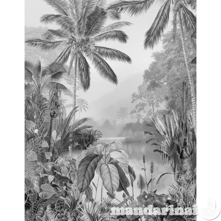 Komar fototapetai lac tropical black & white, 200x270cm