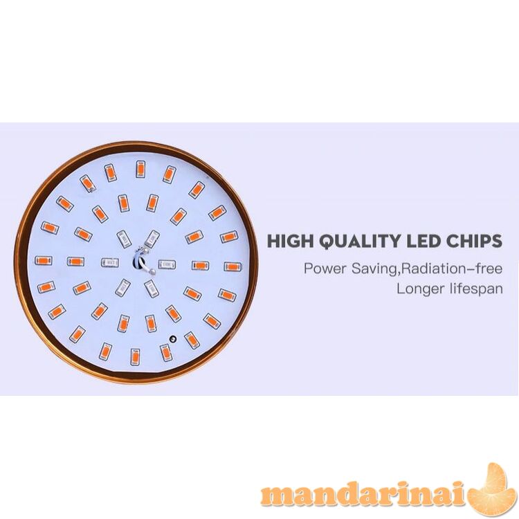 E27 cokolio 15W pilno spektro lempa augalams auginti