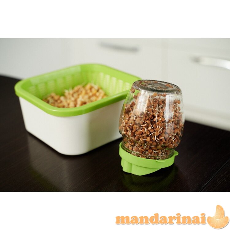 Sėklų daiginimo dangtelis stiklainiui