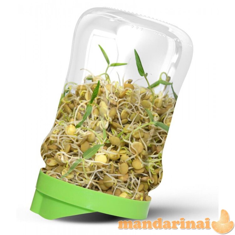 Sėklų daiginimo dangtelis stiklainiui