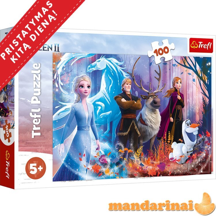 TREFL 100 det. dėlionė „Ledo šalis 2“