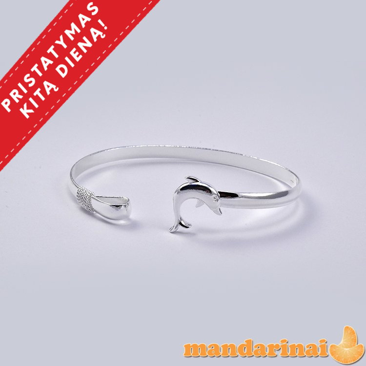 Gryno sidabro apyrankė 925 prabos