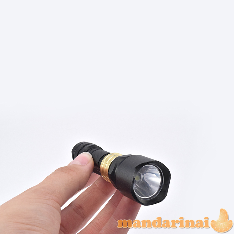 Prožektorius Mini CREE Q5 LED