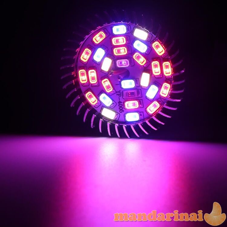 Akcija! Pilno spektro 30W lempa augalų hidroponikai ir auginimui vazonuose