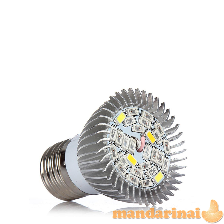 Akcija! Pilno spektro 30W lempa augalų hidroponikai ir auginimui vazonuose