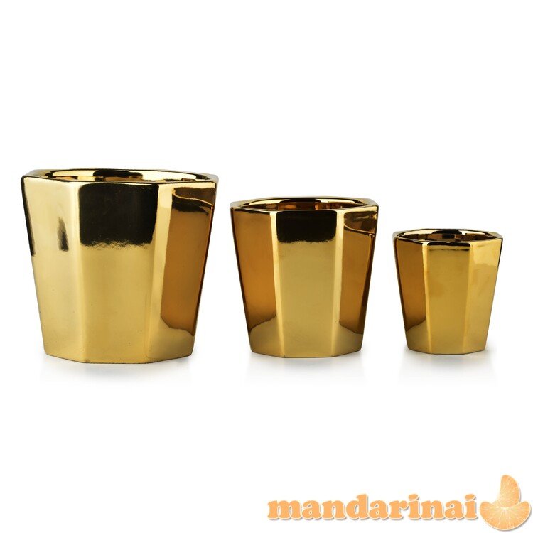 „Neva Gold Set 3 Pots XL“: 16xh14/L: 12,5xh12/m: 8,5h9cm puodai