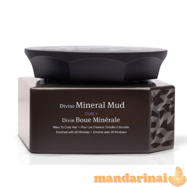 Int drėkinantis miner purvas plaukam,250ml 