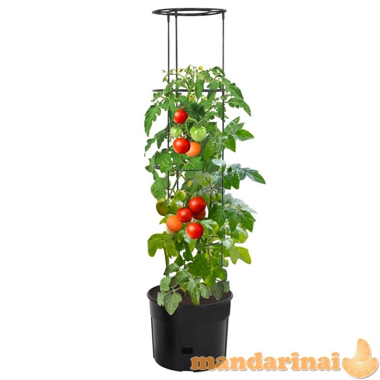Vazonas pomidorų auginimui, 39x150cm, polipropilenas