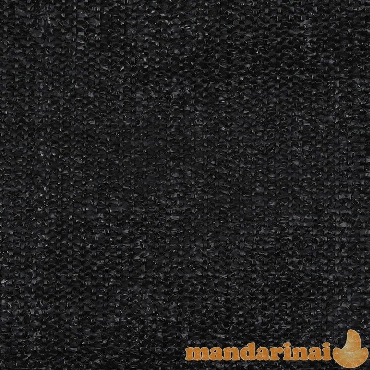 Palapinės kilimėlis, juodos spalvos, 250x400cm