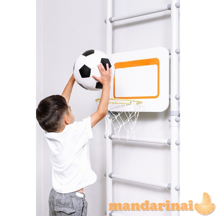 Krepšinio lenta su lanku SANRO