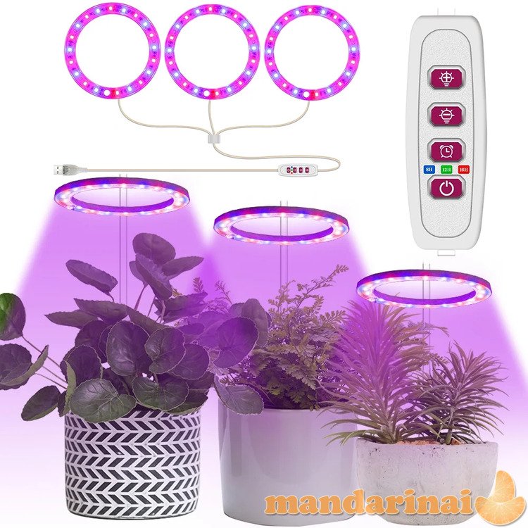 Angel rings 4 šviestuvų sistema augalams auginti