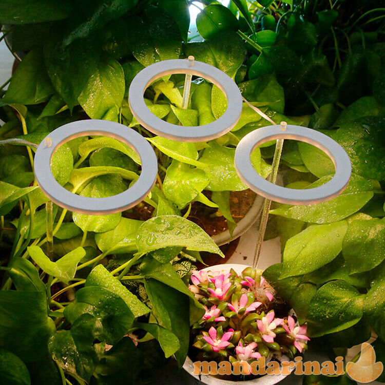 Angel rings 4 šviestuvų sistema augalams auginti