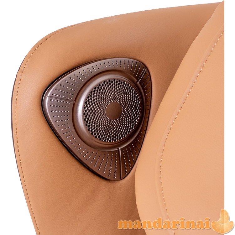 Masažo kėdė inSPORTline Fidardo 11