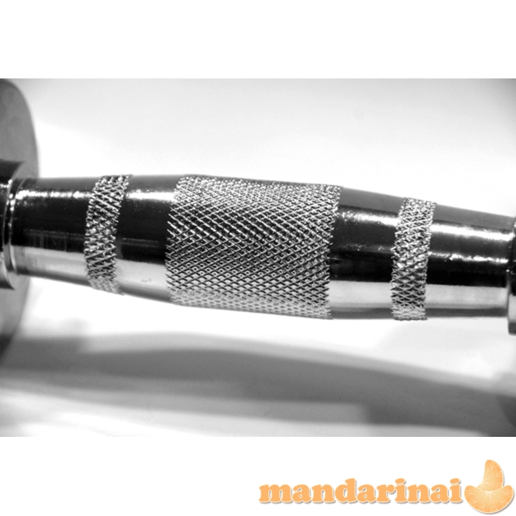 Chromuotas hantelis inSPORTline10 kg 1