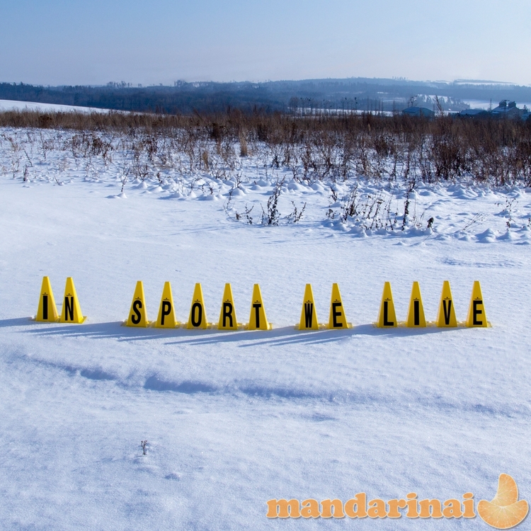 Plastikiniai treniruočių žymekliai inSPORTline Alphabet 23 cm (26vnt.)