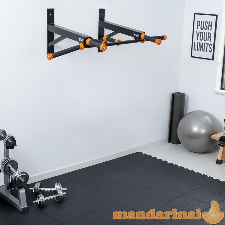 Wall-Mounted Pull-Up Bar inSPORTline Wallibor
