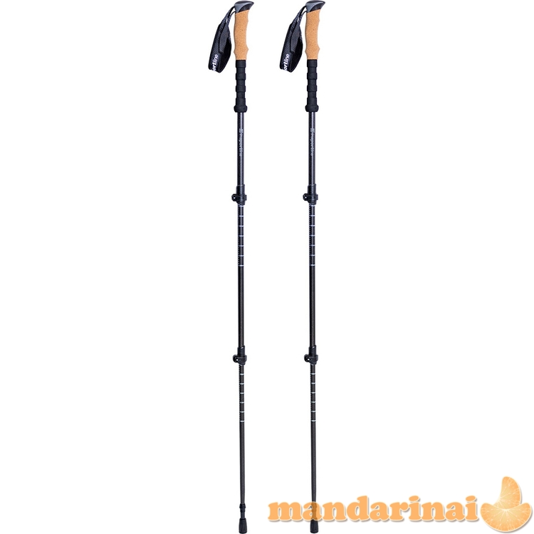 3-Piece Carbon Trekking Poles inSPORTline Portello