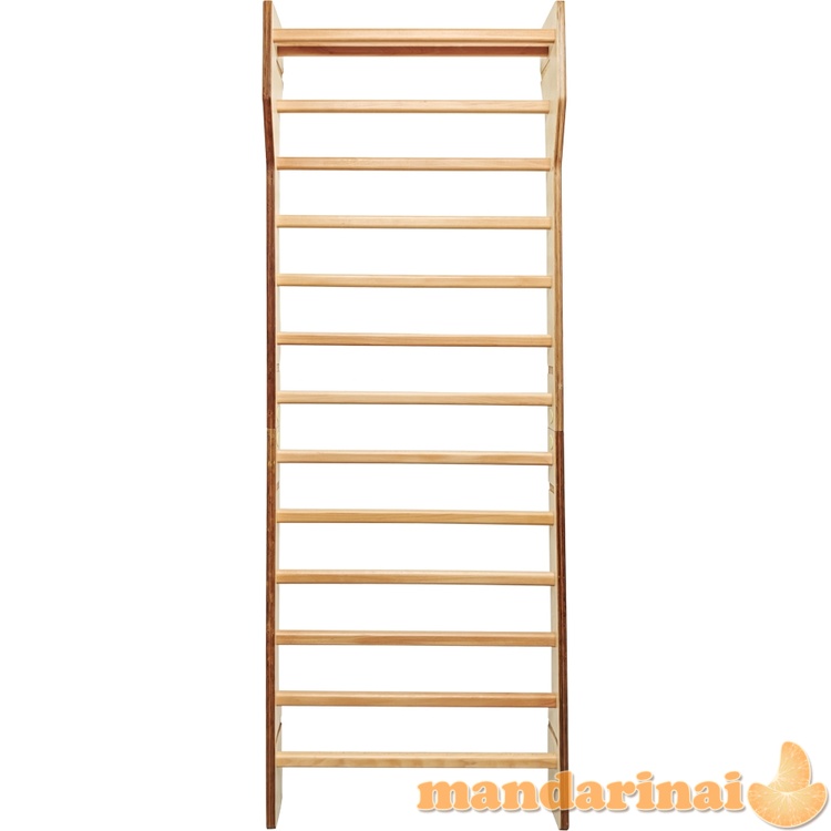 Wall Bars inSPORTline Shapemar 250 x 90 cm