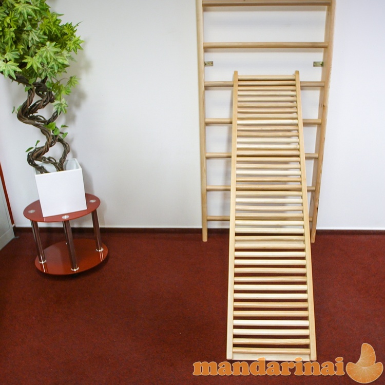 Wall Bars inSPORTline Shapemar 250 x 90 cm