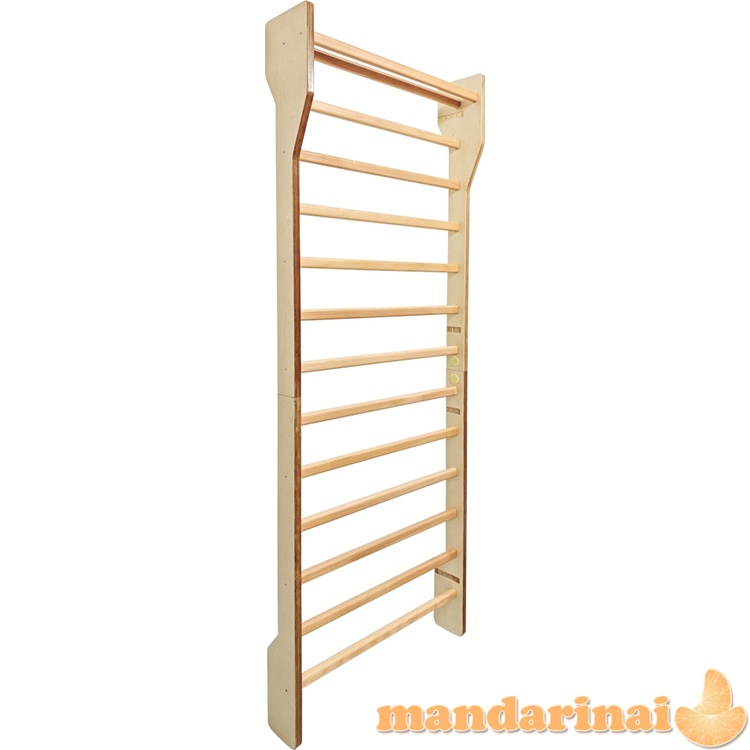 Wall Bars inSPORTline Shapemar 250 x 90 cm