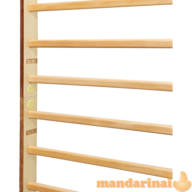 Wall Bars inSPORTline Shapemar 250 x 90 cm