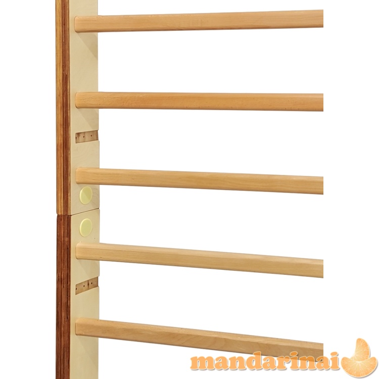 Gimnastikos sienelė inSPORTline Dualmar 220 x 80 cm