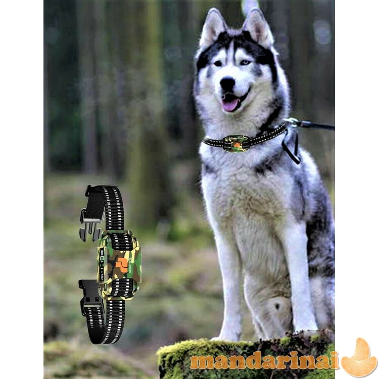 Vandeniui atsparus, pakraunamas antkaklis nuo lojimo