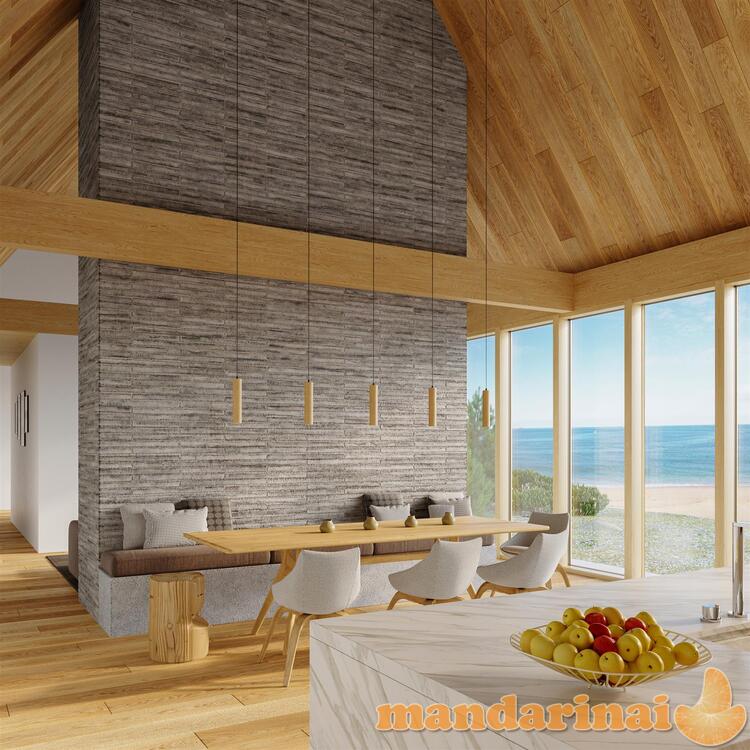 Pakabinama lempa lino mediena 6