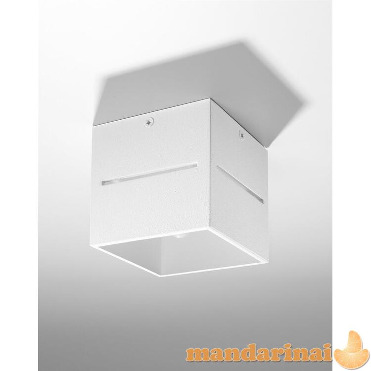 Lubinis šviestuvas lobo balta 1