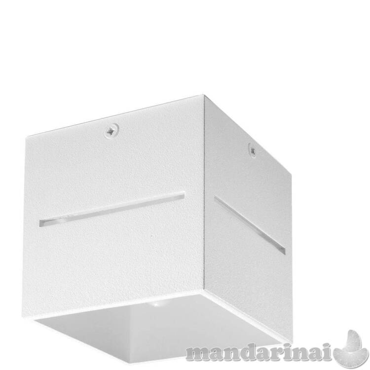 Lubinis šviestuvas lobo balta 2