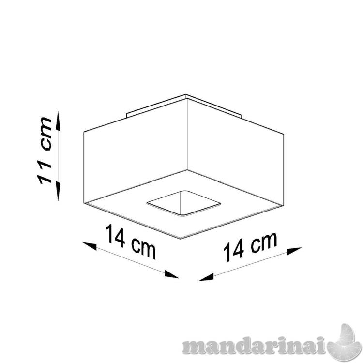 Šviestuvas mono 1 juodas