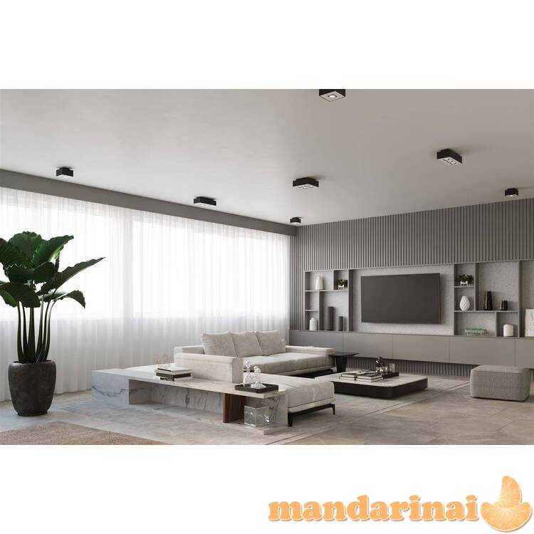 Šviestuvas mono 1 juodas