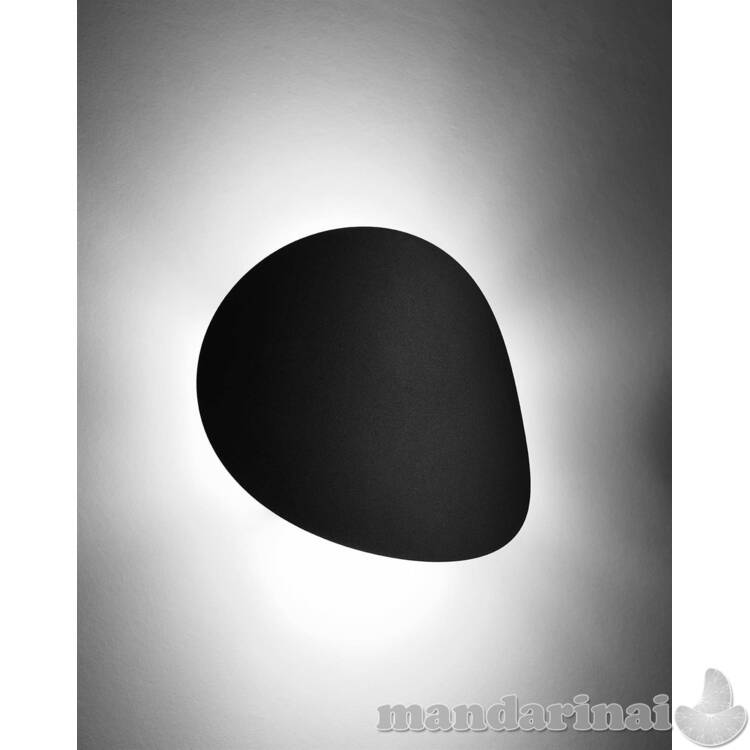 Sienų lemputė jaučia juodą