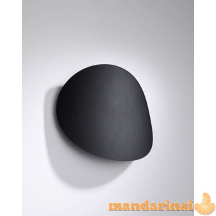 Sienų lemputė jaučia juodą