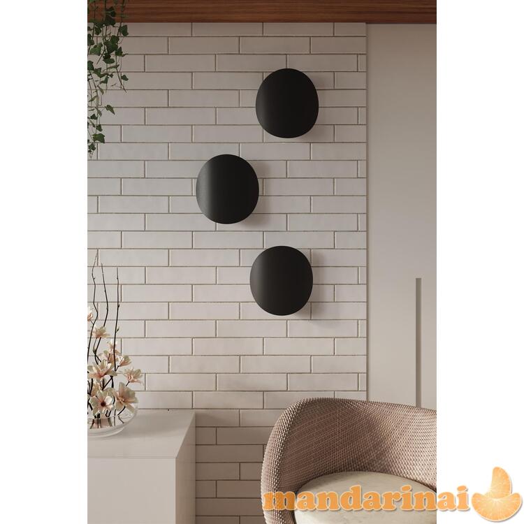 Sienų lemputė jaučia juodą