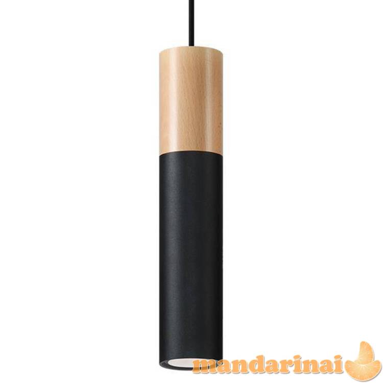 Pakabinama lempa pablo juoda 2