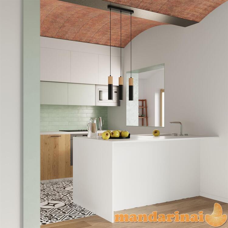 Pakabinama lempa pablo juoda 6