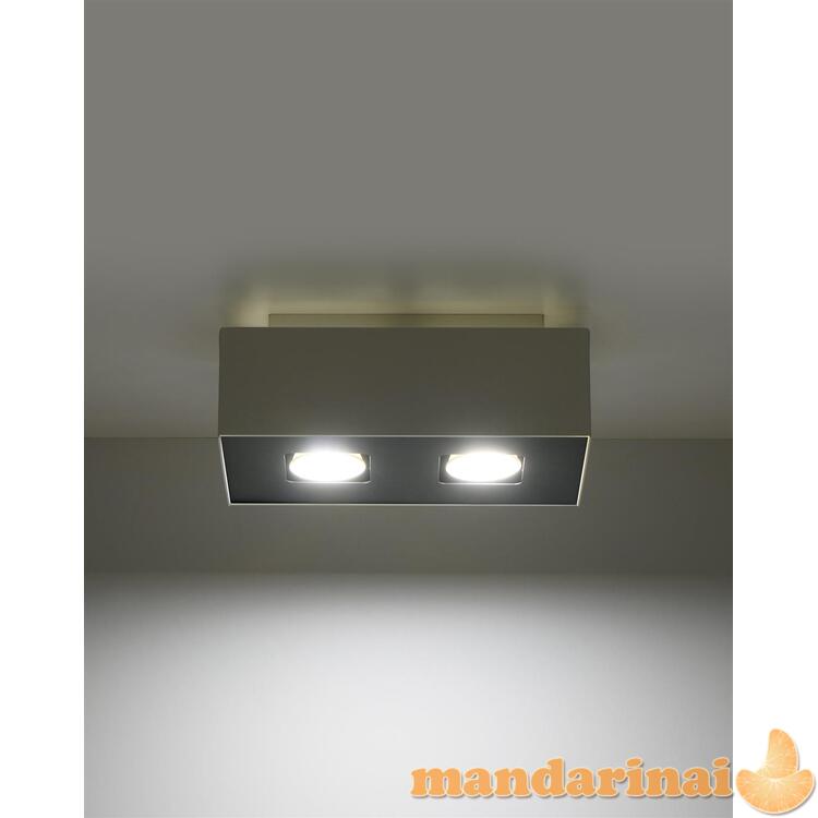 Šviestuvas mono 2 baltas