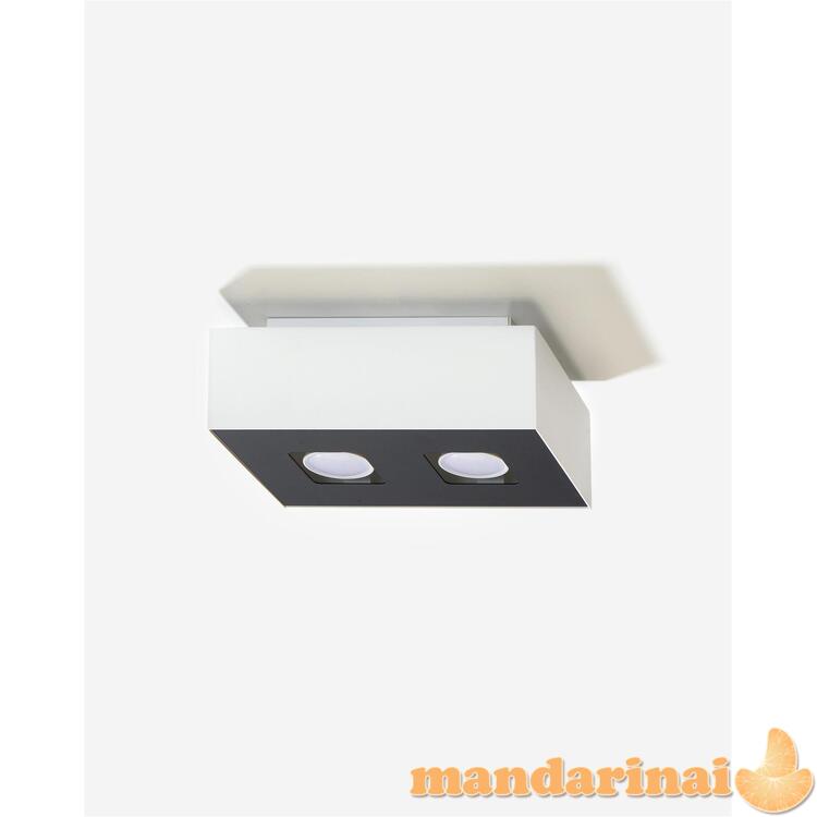 Šviestuvas mono 2 baltas