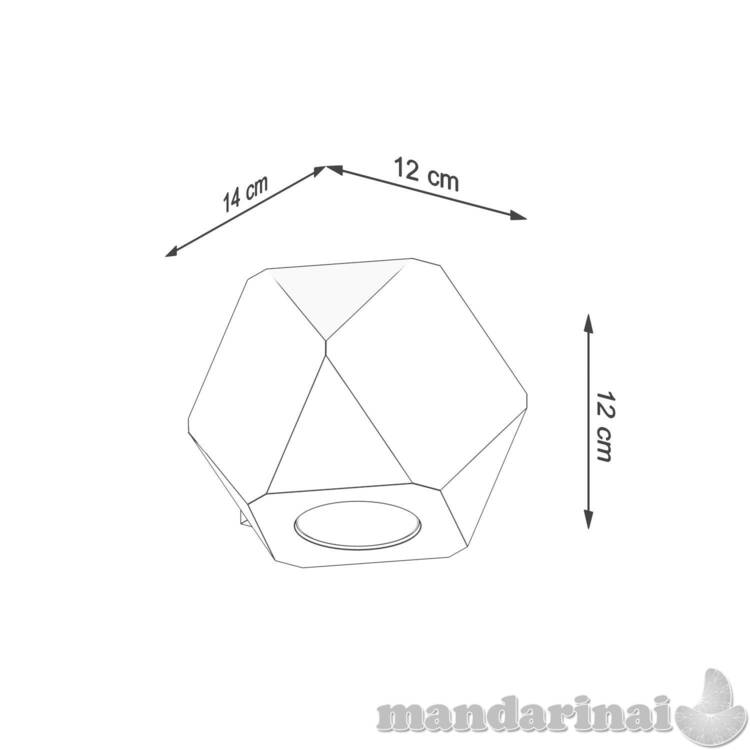 Sieninė lemputė sumedėjusi natūrali mediena