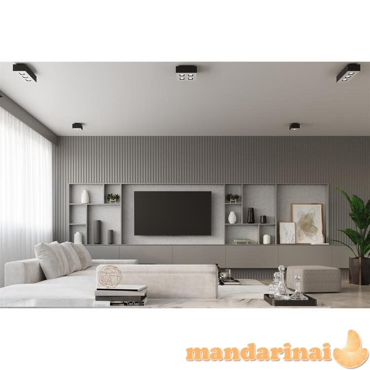 „Šviestuvas Mono 4 Black“ 6