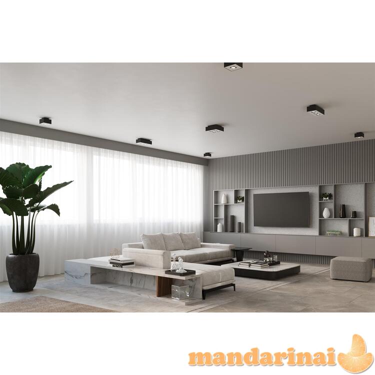 „Šviestuvas Mono 4 Black“ 5