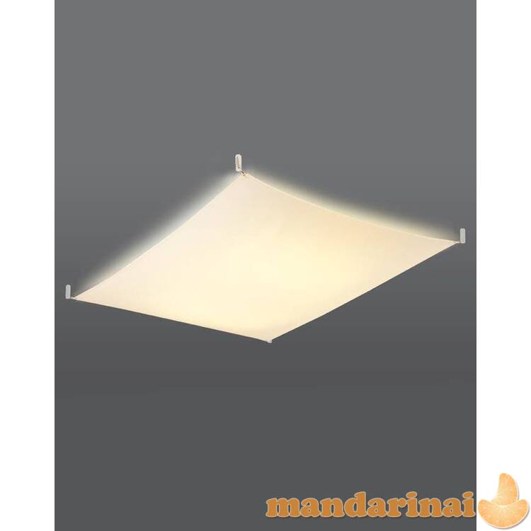 Lubinis šviestuvas luna 3 balta