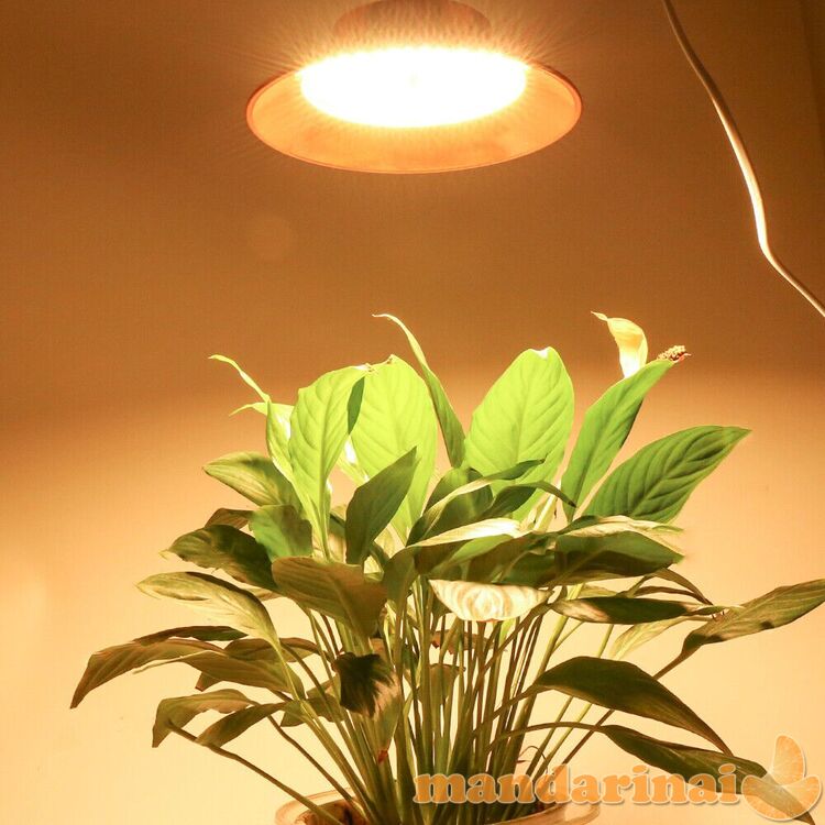 Pakabinamas 100W pilno spektro šviestuvas augalams