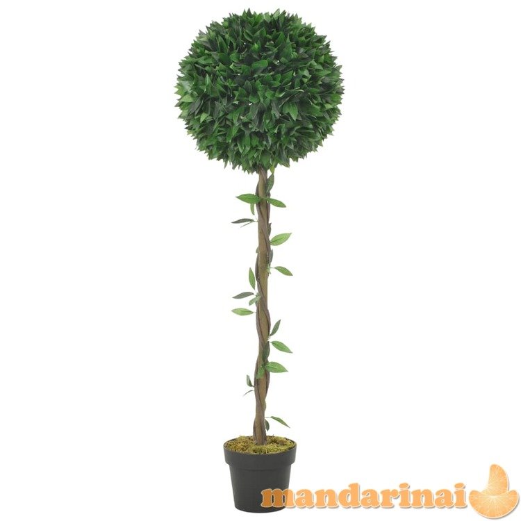 Dirbtinis augalas-lauramedis su vazonu, žalios spalvos, 130cm