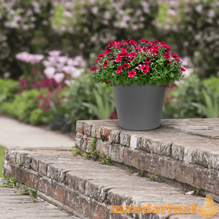 VazonasOctavia 38 cm