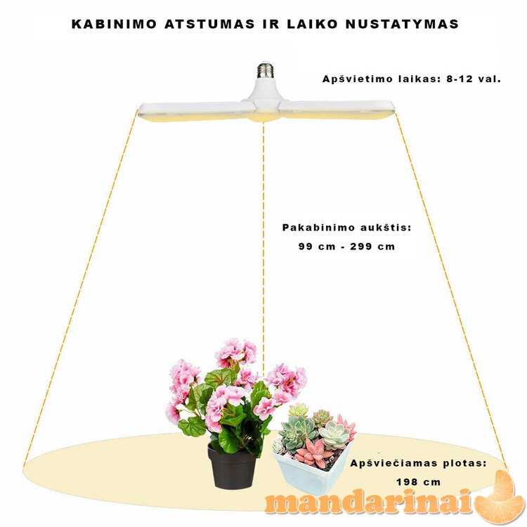 200W pilno spektro lempa augalams auginti