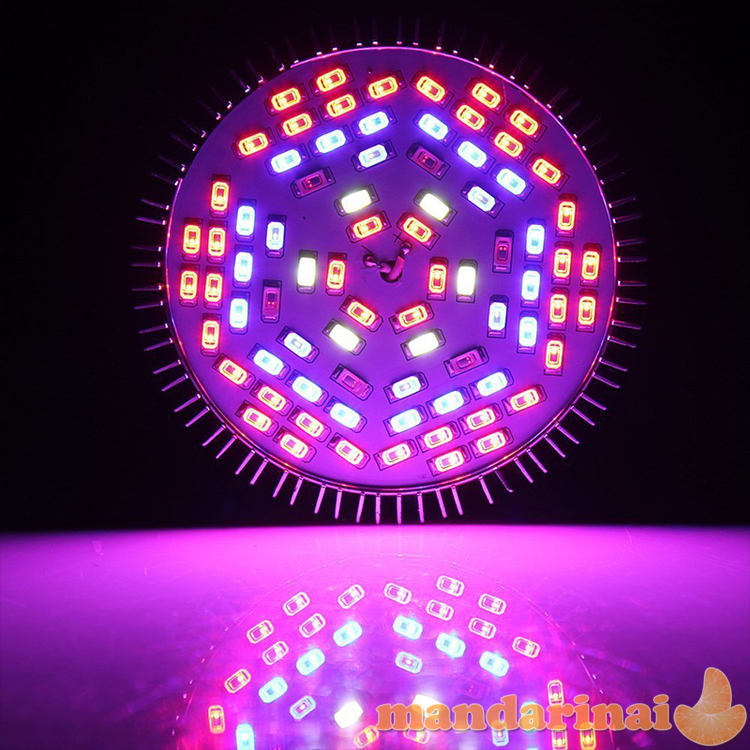 Pilno spektro 50W lempa augimui ir žydėjimui skatinti