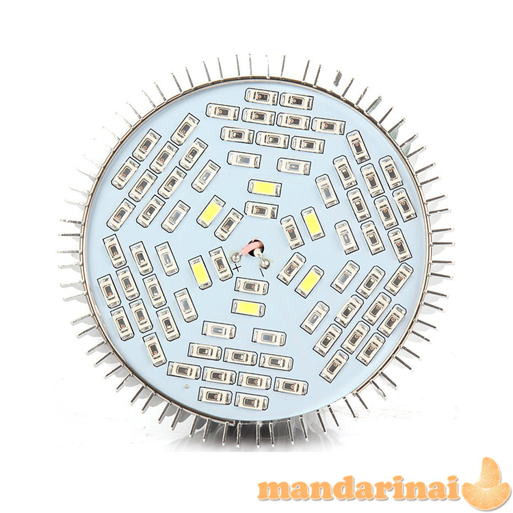 Pilno spektro 50W lempa augimui ir žydėjimui skatinti